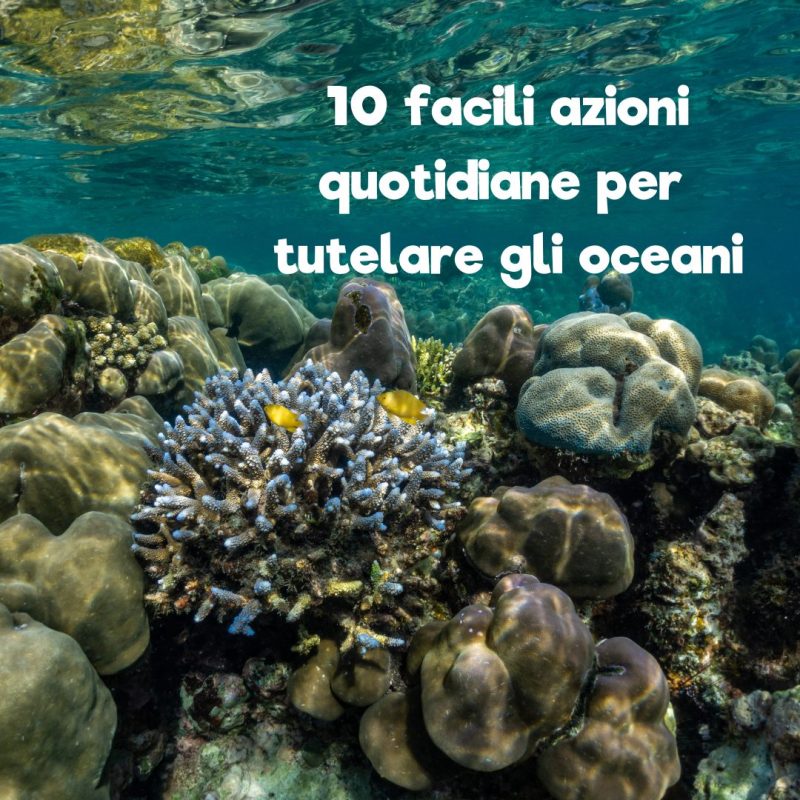 salvaguardare la bellezza e l'ecosistema degli oceani