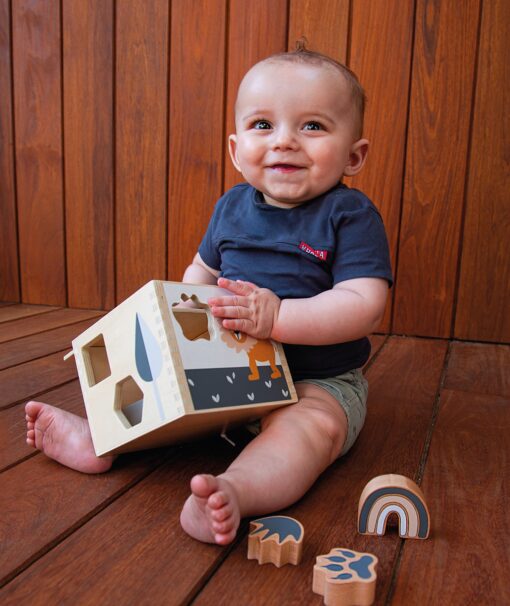 wooden-shape-sorter