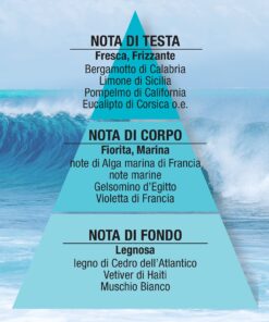 piramide olfattiva
