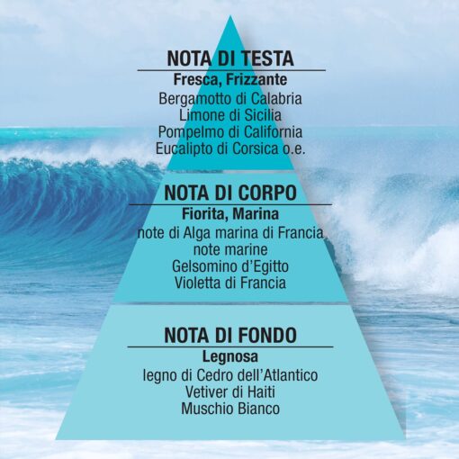 piramide olfattiva