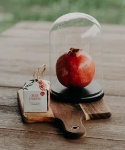 Chicchi d'inverno shampoo nutriente